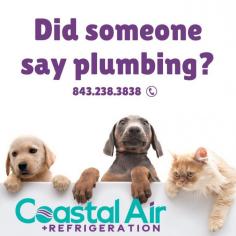 Coastal Air Plus

Coastal Air Plus has been a family-owned business since 1947, specializing in AC, heating, plumbing, and residential/commercial refrigeration, serving Myrtle Beach and Charlotte areas.

Address: 1777 Harmon Street, Charleston, SC 29405, USA
Phone: 843-238-3838
Website: https://coastalairplus.com