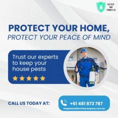 Ensure your home is termite-free with our expert termite treatment services in Gold Coast. We specialize in thorough inspections and effective treatments tailored to your property's needs. Our team uses advanced techniques and eco-friendly solutions to eliminate termites and prevent future infestations. With years of experience and a commitment to customer satisfaction, we guarantee a safe and healthy environment for you and your family. Trust us to protect your investment with reliable termite control solutions.