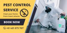 Looking for reliable and affordable pest control services in Gold Coast? The Pest and Termite Company is here to help! We specialize in protecting homes and businesses from unwanted pests, offering comprehensive services to eliminate termites, cockroaches, ants, rodents, and more. Our expert technicians use the latest techniques and eco-friendly solutions to ensure your property is pest-free, safe, and healthy. Whether it's prevention or extermination, we’ve got you covered. Book your pest inspection today with The Pest and Termite Company and enjoy peace of mind with our guaranteed results! Visit our website for more information.