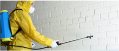 At The Pest And Termite Co., you can expect us to offer second-to-none Pest Control Hope Island. Having acquired a pest control license and undertaken rigorous training, our team can handle any pest issue on your property. Not only do we possess the right expertise, but we also use cutting-edge equipment to provide the quality service you deserve. We offer customised pest control solutions wherever you are in Queensland.