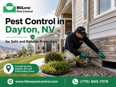 HiLow Pest Control provides professional pest control in Dayton, NV to help homeowners and businesses protect their properties from ants, spiders, rodents, cockroaches, mosquitoes, bed bugs, and other unwanted pests. Their budget-friendly and science-based solutions focus on safe treatment, prevention, and long-term property protection. For service inquiries, call (775) 800-7378.