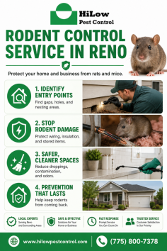HiLow Pest Control provides rodent control service in Reno, helping homeowners and businesses manage mice, rats, and rodent activity with effective pest control solutions. Their team helps identify entry points, reduce infestations, and protect properties from rodent damage and contamination. Call (775) 800-7378.