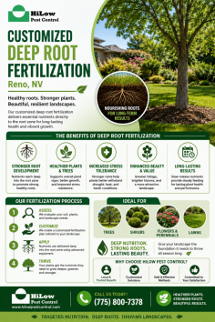 HiLow Pest Control offers customized deep root fertilization in Reno, NV, to help trees, shrubs, and landscape plants receive targeted nutrients directly at the root zone. Their professional fertilization service supports healthier growth, stronger roots, improved soil condition, and better resistance against seasonal stress. Call (775) 800-7378.