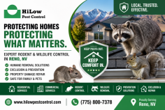 HiLow Pest Control provides professional rodent and wildlife control in Reno, NV, for homes, businesses, rental properties, and commercial spaces. Their services help identify entry points, remove unwanted animals, reduce property damage, and prevent future infestations through practical exclusion and control solutions. Call (775) 800-7378 to schedule service.