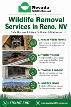 Nevada Wildlife Removal provides wildlife removal services in Reno, NV, helping homeowners and businesses safely handle nuisance animals around their property. Their humane removal solutions help protect yards, attics, crawl spaces, roofs, and outdoor areas from wildlife damage while supporting long-term prevention. Call (775) 667-3797.