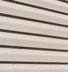 Protect your Winder, GA property with professional mold removal services. Mold can develop in damp areas and may spread across walls, ceilings, crawl spaces, and other surfaces if left unaddressed. Our professional mold removal service focuses on identifying affected areas, safely removing visible mold, and helping restore a cleaner property environment. We use appropriate cleaning and treatment methods designed for the affected surface while taking steps to minimize the spread of mold during the process. Whether you have noticed visible growth, musty odors, or moisture-related concerns, prompt professional attention can help prevent the problem from becoming more extensive. Keep your Winder, GA property cleaner with dependable mold removal services.
