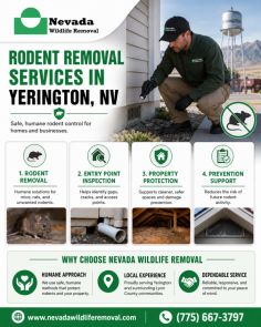 Protect your home or business with professional rodent removal services in Yerington, NV. Nevada Wildlife Removal provides humane solutions for mice, rats, and other unwanted rodents while helping identify entry points and reduce the risk of future activity. Their team focuses on safe removal, property protection, and dependable prevention support. Call (775) 667-3797 for service details and assistance.