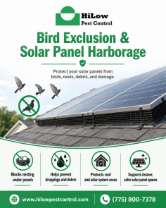 HiLow Pest Control provides professional bird exclusion and solar panel harborage services to help protect solar panels from pigeons, nesting, droppings, debris, and related damage. Solutions may include inspections, exclusion barriers, netting, spikes, wire systems, cleaning, and maintenance based on the property. Call (775) 800-7378 for more information.