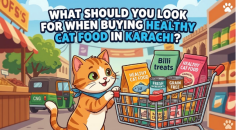 Choosing healthy cat food in Karachi means looking beyond price and packaging. Focus on quality animal protein, appropriate nutrition, moisture, freshness and trustworthy preparation. Jelly food can provide additional hydration and an appealing texture. Locally prepared options such as Billi Treats offer fresh, homemade, preservative-free meals for Karachi's cat parents.