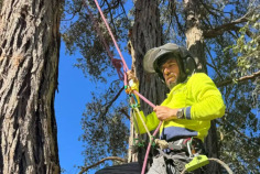 Tree removal is a highly specialised trade that requires skill, training, and precision. At Expert Tree Removal, our licensed and insured team has years of experience handling even the most challenging jobs. From small residential removals to large-scale commercial projects, we utilise advanced methods such as felling, climbing, and crane-assisted removal to manage trees of all sizes. Tree trimming is just as necessary as removal. Regular trimming not only enhances the aesthetic appeal of your trees but also prevents potential hazards, such as falling limbs or interference with power lines.
